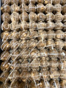 Oreo S'mores Powerballs