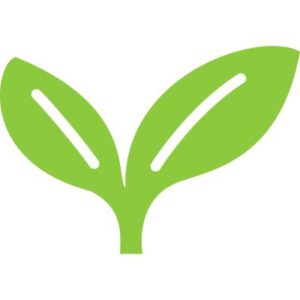 Breakfast Bacon Tacos