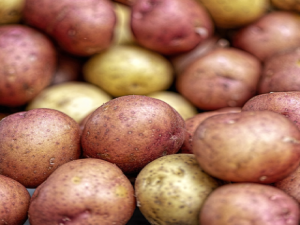 potatoes-4331742_1920-460x460 (2)